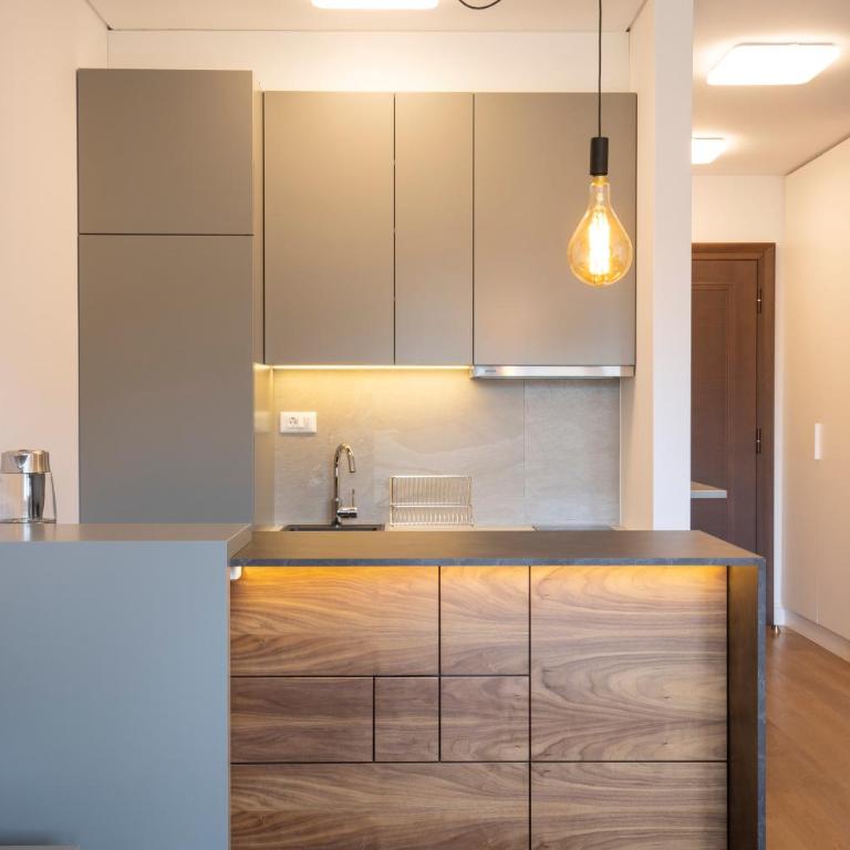 Belgrade Center Apartment Lux Residence - Apartman sa 1 Spavaćom Sobom - 5