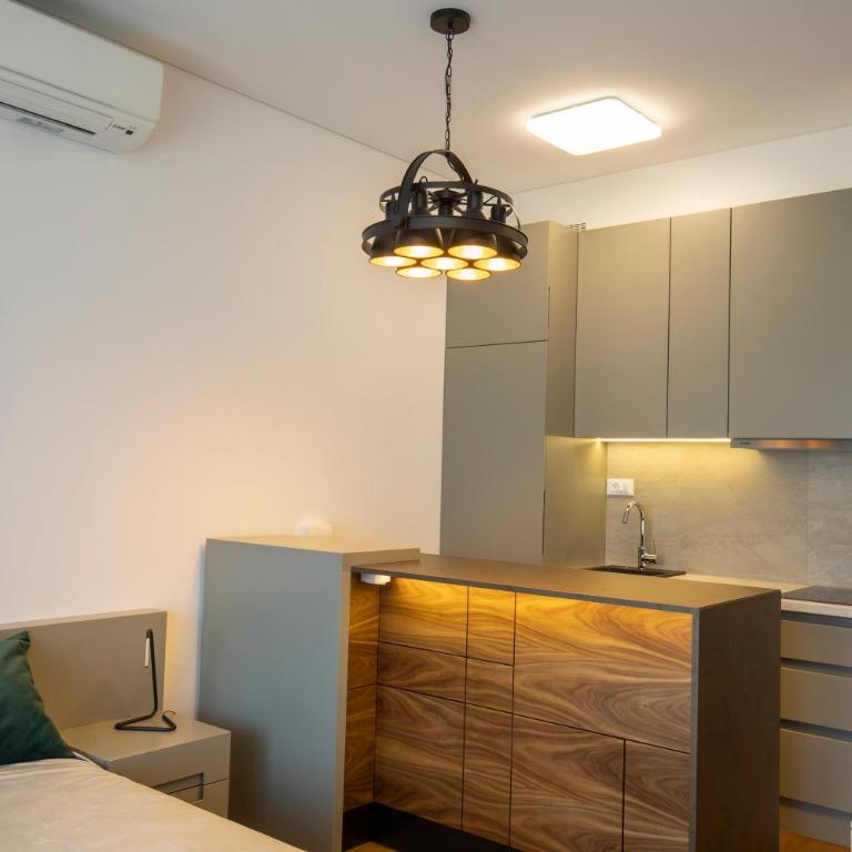 Belgrade Center Apartment Lux Residence - Apartman sa 1 Spavaćom Sobom - 8