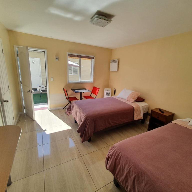 Hotel Willson - Habitación Doble - 2 camas - 3