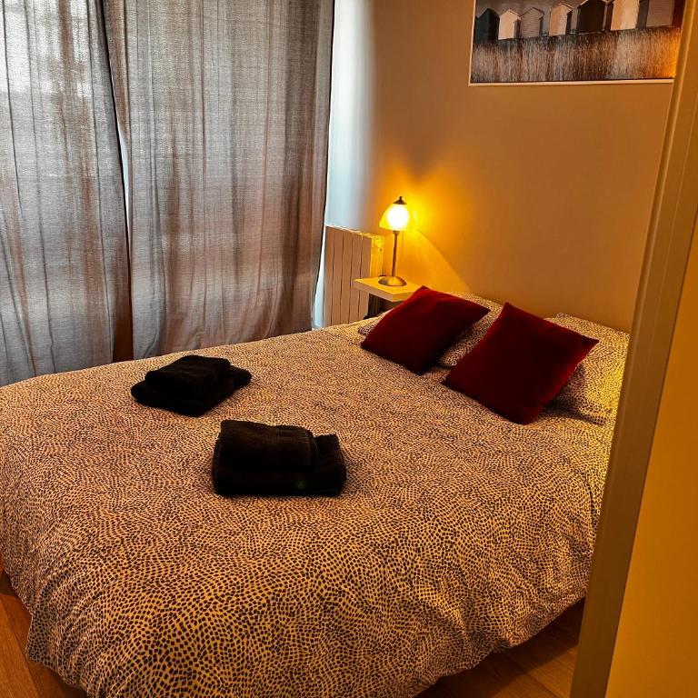Appt traversant vu Mer et Dunes avec Garage - Appartement 2 Chambres - 17