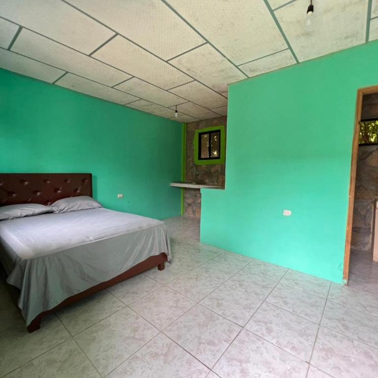 Hostal eco-aventura - Habitación Doble - 1 o 2 camas - 11