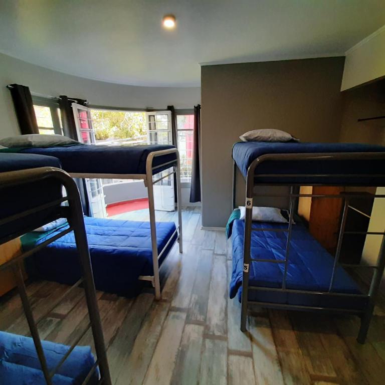 Aji Hostel - Cama en habitación compartida femenina de 6 camas - 4