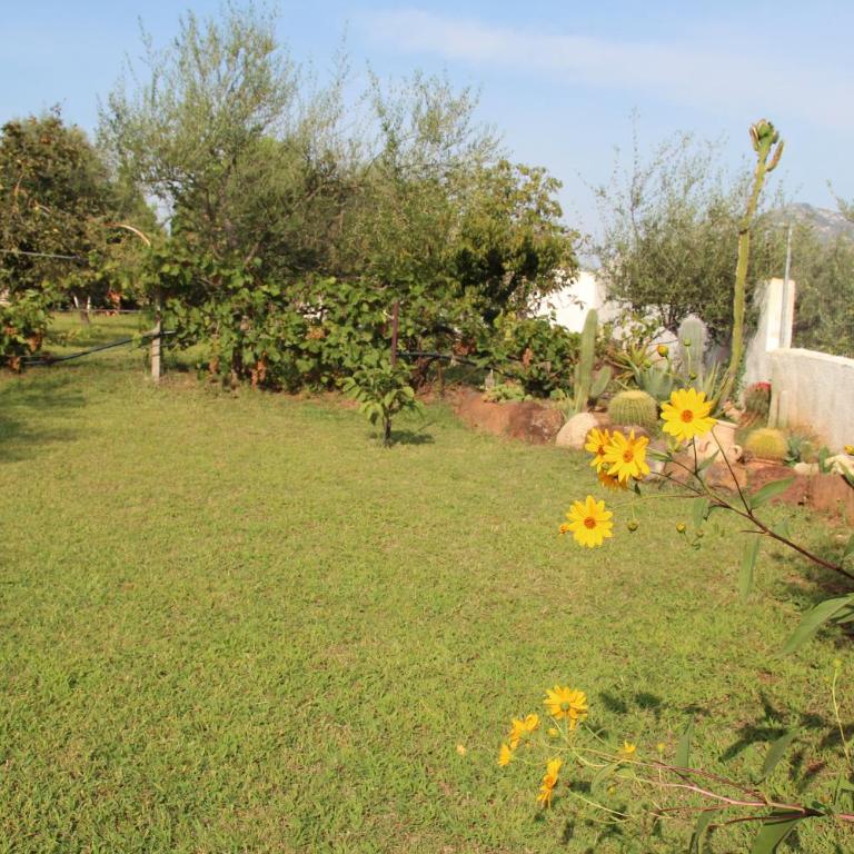 Villa di campagna vicino al mare - Casa con 1 Camera da Letto - 16