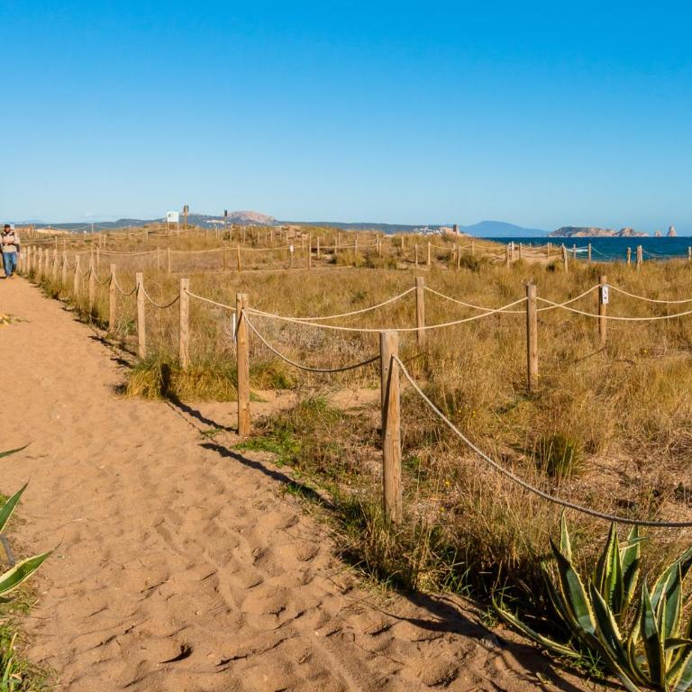 PA-1 PALS 4 PaX - Apartamento de 2 dormitorios - 26