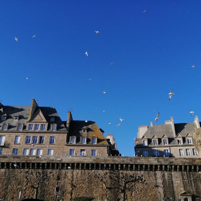 Appartement Saint-Malo 800m de la plage - Duplex Apartment - 34