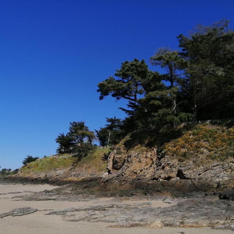 Appartement Saint-Malo 800m de la plage - Duplex Apartment - 49