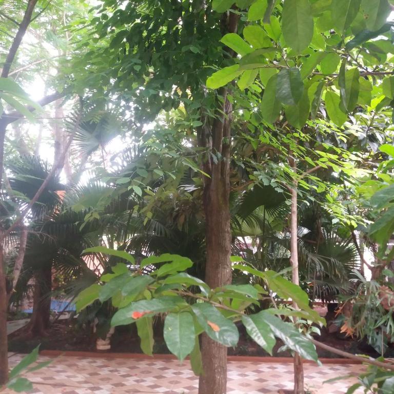 Alojamiento El Bosque - Family Room with Garden View - 3