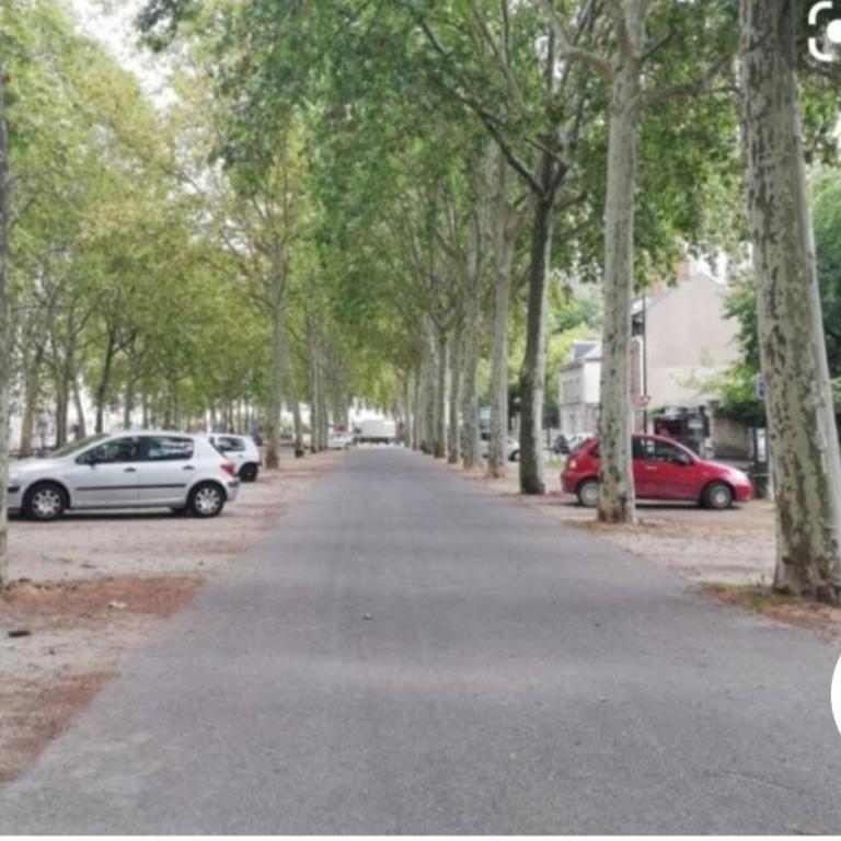 Orléans centre T2 théâtre et cathédrale - Apartamento de 1 dormitorio - 21