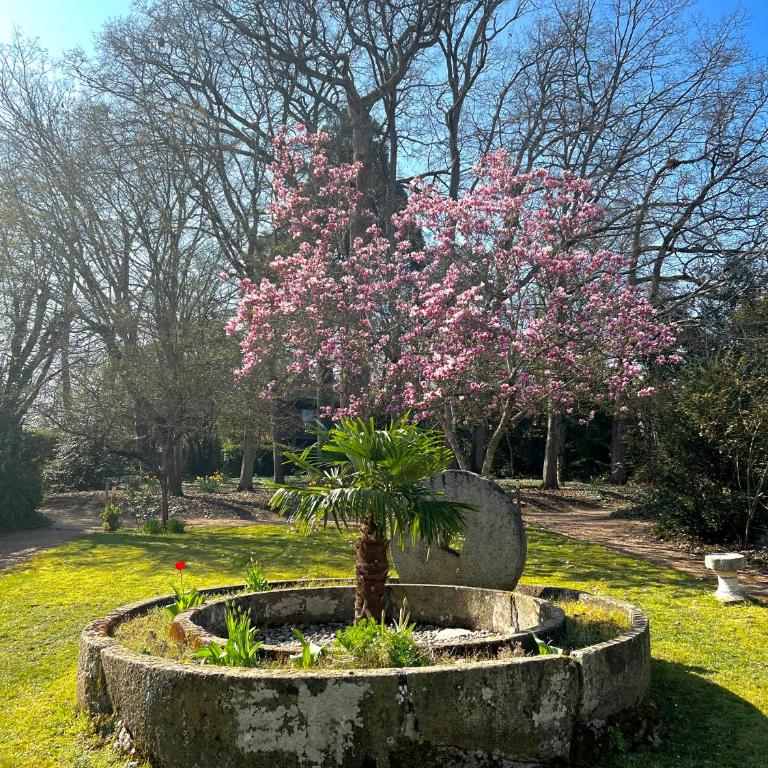 Manoir Du Parc (Adults only) - Small Double Room - Manor - 18