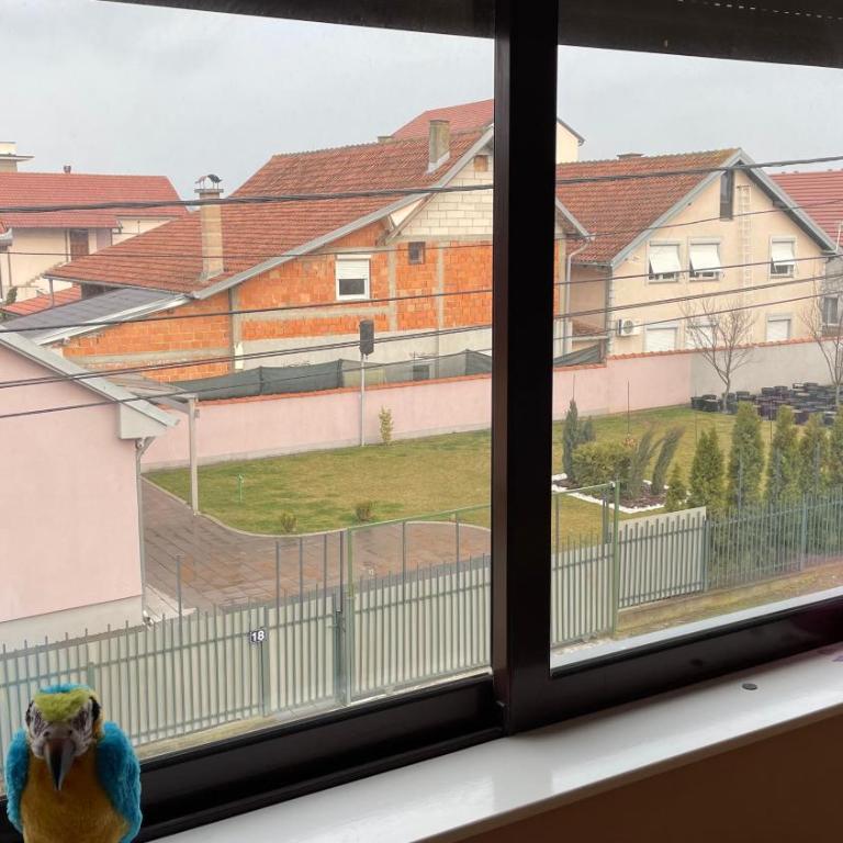 Charlie&Blueberries 1 - Apartman na Više Nivoa - 28