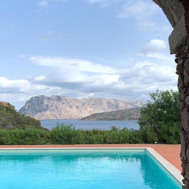 Punta Est - Mono OSTRO Terrazza Fronte Mare - Appartamento con 1 Camera da Letto - 12