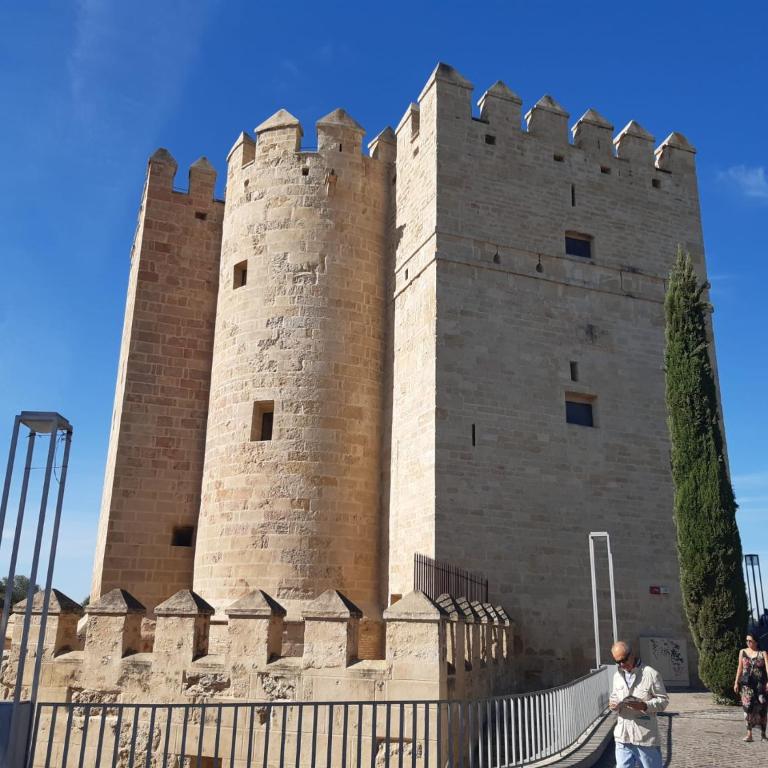 Loft La Calahorra con posibilidad de aparcamiento Pregunta por el PACK MÁS AMOR - Apartamento de 1 dormitorio - 1