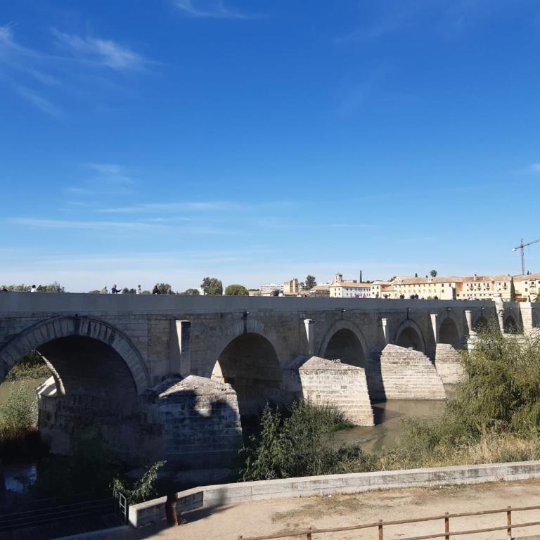 Loft La Calahorra con posibilidad de aparcamiento Pregunta por el PACK MÁS AMOR - Apartamento de 1 dormitorio - 40