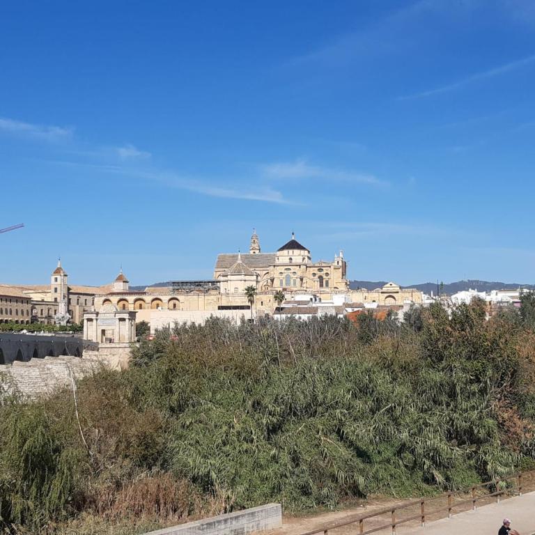 Loft La Calahorra con posibilidad de aparcamiento Pregunta por el PACK MÁS AMOR - Apartamento de 1 dormitorio - 44