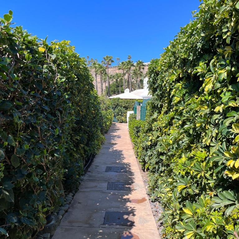 Ahtha Green Bungalow Maspalomas - Two-Bedroom Bungalow - 57