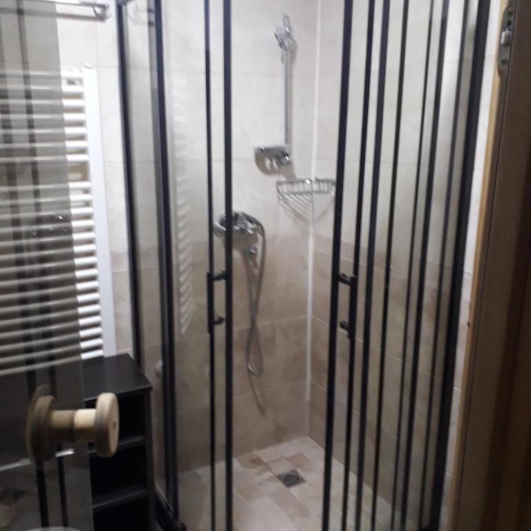 Apartman Djurkovic Zlatibor - Apartman sa 1 Spavaćom Sobom - 36