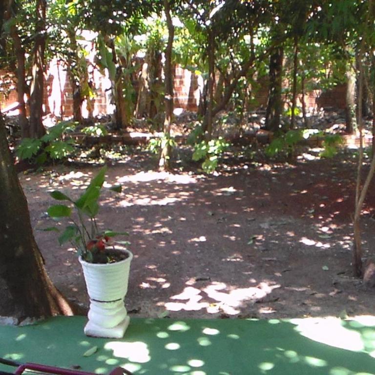 Alojamiento El Bosque - Superior Family Room - 5