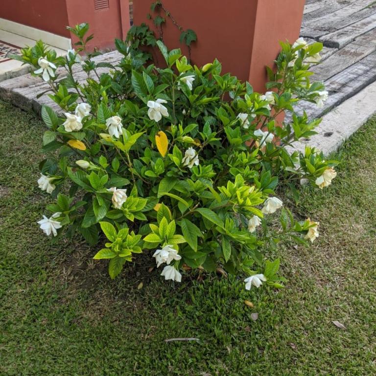 La Colorada - Casa Unifamiliar de 3 dormitorios - 79