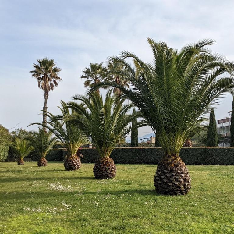 Presqu'île de la Lagune - Piscine - Mer & Nature - Apartment mit Meerblick - 25