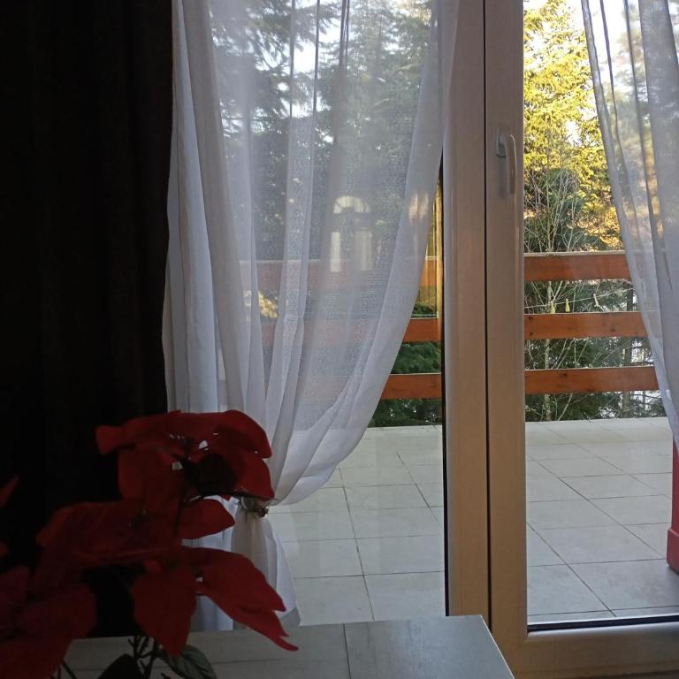Apartmani Trio sa terasom - Apartman sa Terasom - 9