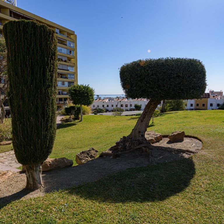 Estudio La Colina - One-Bedroom Apartment - 6