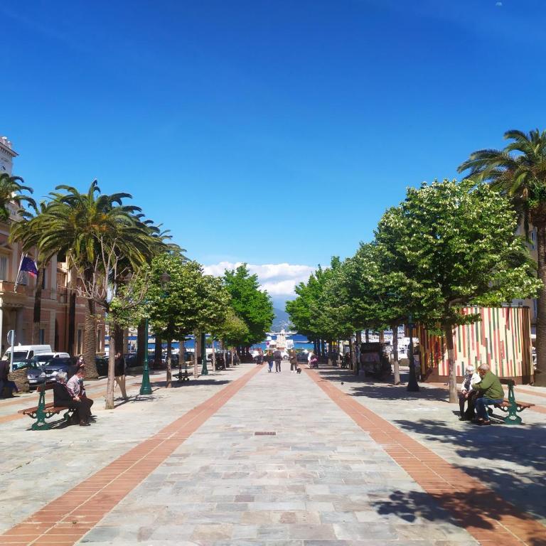 Cosystudio centre Ajaccio - Estudio Deluxe - 10