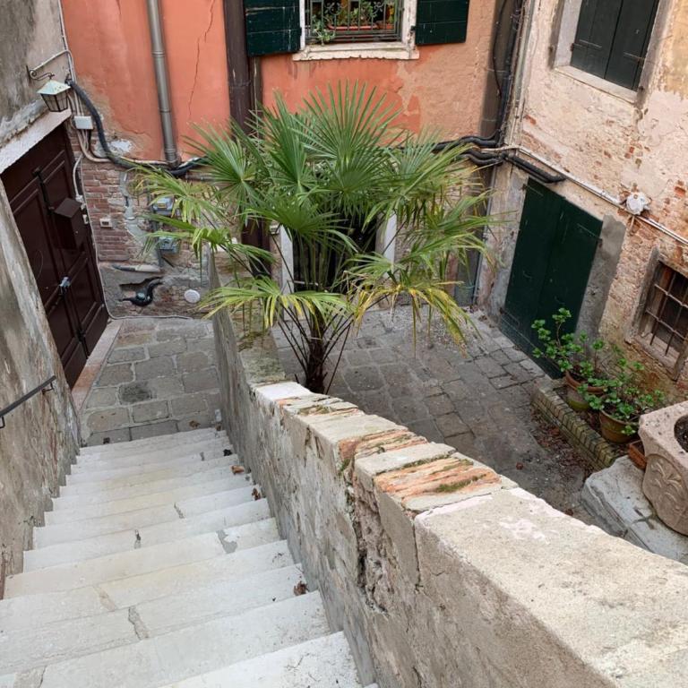 Suite Piscina San Samuele - Appartamento - 22