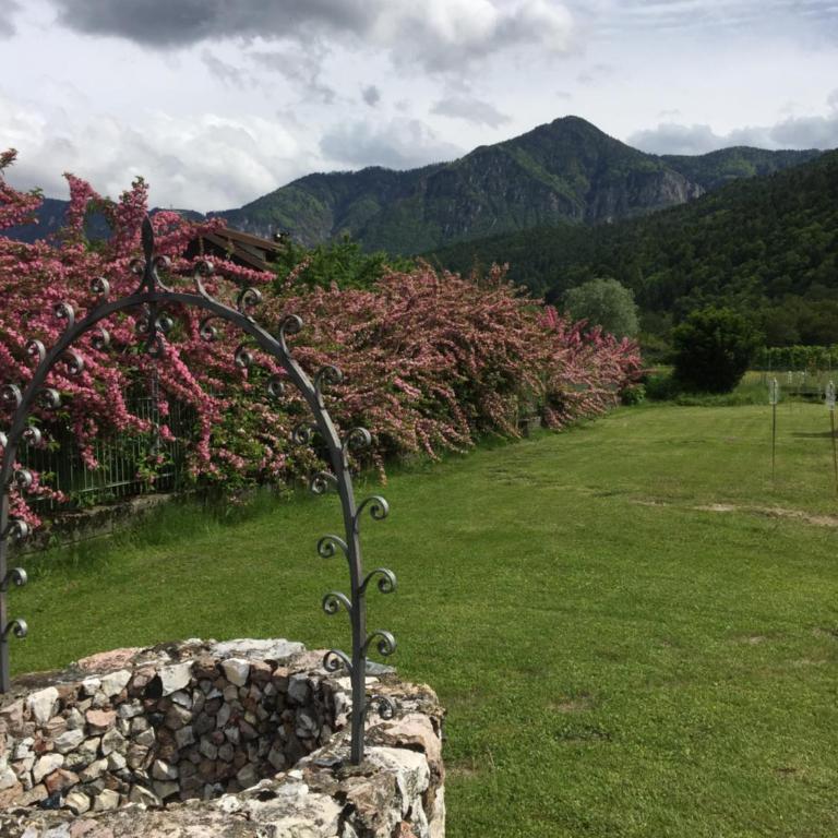 Paradiso sul lago - Casa - 30