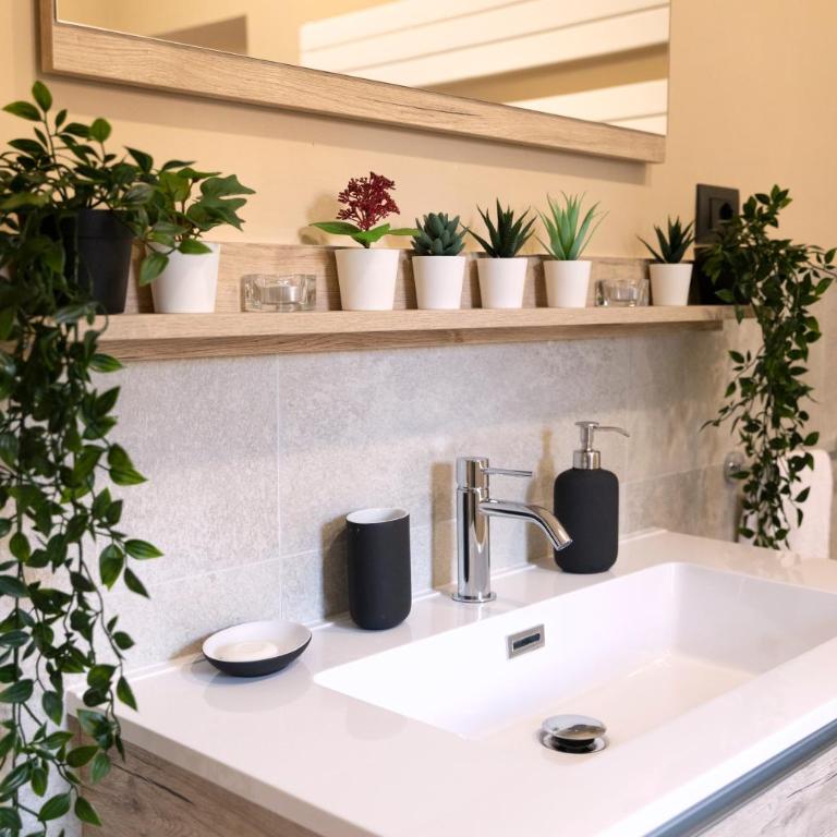 Parione Apartment - Appartamento Superior - 32