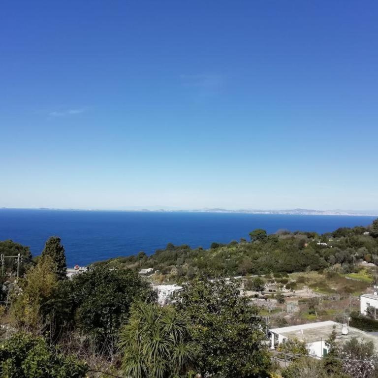 Casa Cantasol - Capri - Casa con 1 Camera da Letto - 29
