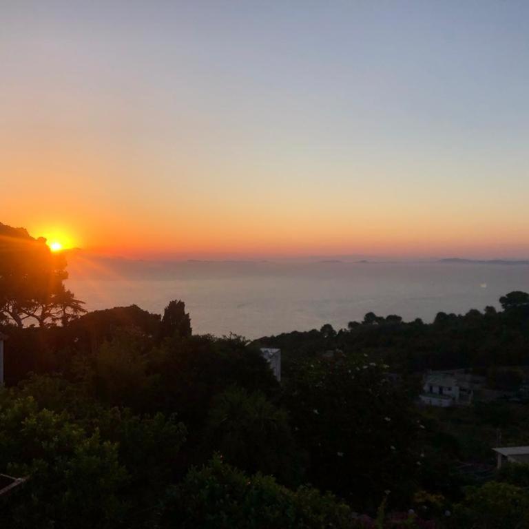 Casa Cantasol - Capri - Casa con 1 Camera da Letto - 31