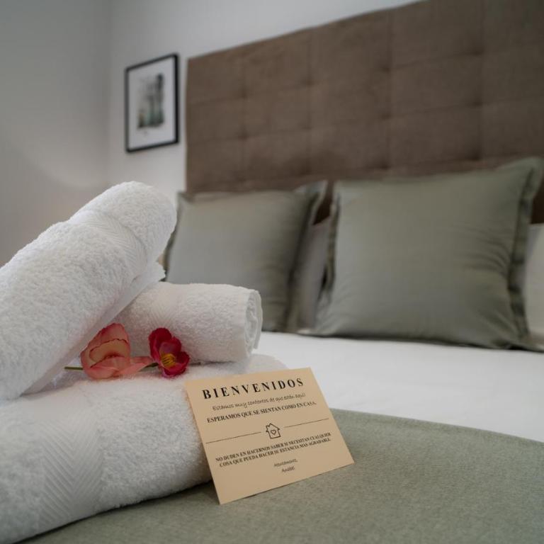AAC Málaga - Amplio apartamento con terraza, totalmente equipado, nuevo, muy bien ubicado - Apartamento con terraza - 23