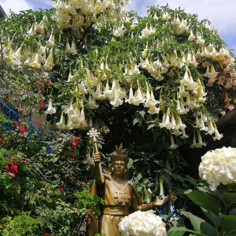 Kenti's Home Ollantaytambo - Double Room with Private Bathroom - 11