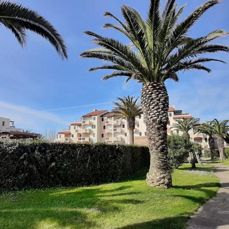 Saint Cyprien - Appart - Piscine-Mer - Apartamento de 2 dormitorios - 12