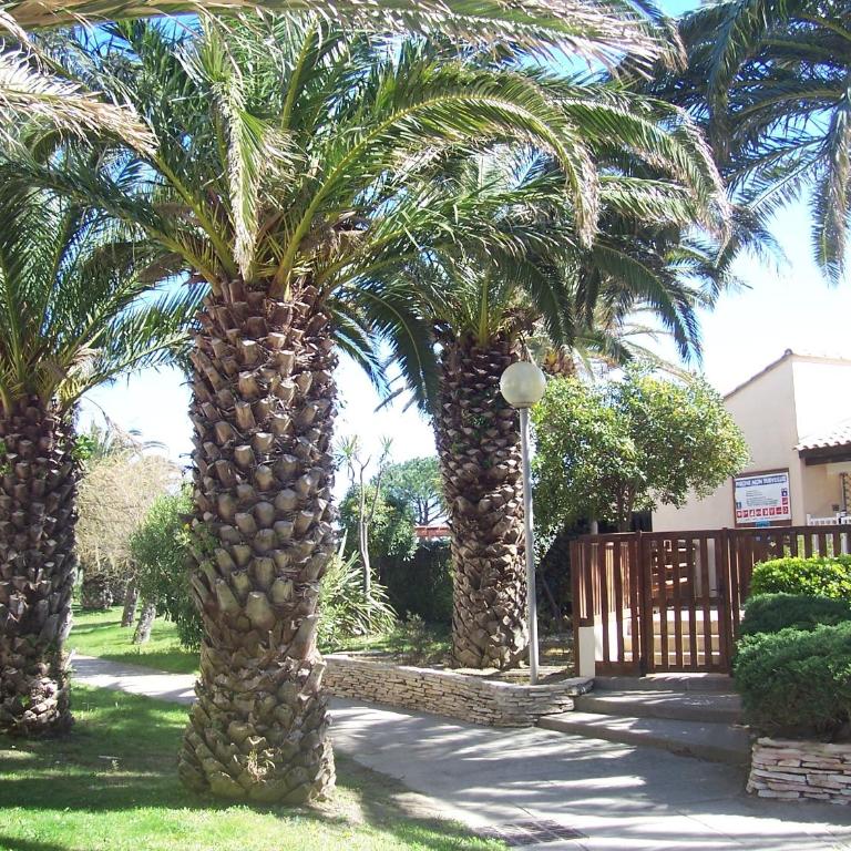 Saint Cyprien - Appart - Piscine-Mer - Apartamento de 2 dormitorios - 13
