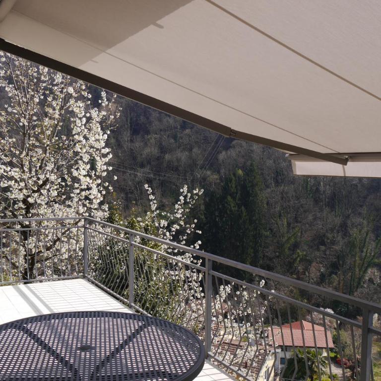 Casa Colmegna mit traumhaften See- und Bergblick - Apartamento con vistas al lago - 20