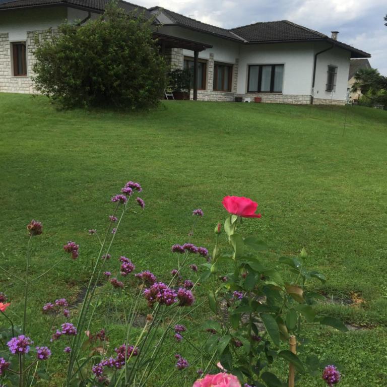 Paradiso sul lago - Casa - 29