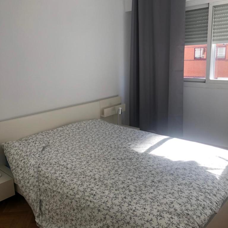 Apartamento céntrico - Apartamento de 2 dormitorios - 5