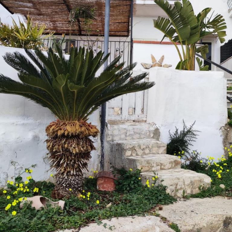 Bluoltremare - Casa Vacanze - 45