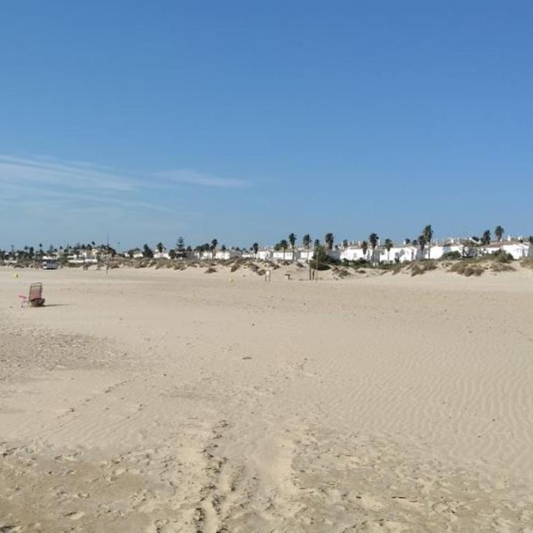 Apartamento La Barrosa - Chiclana - Urb. Pinar Atlántico - Apartamento con terraza - 14