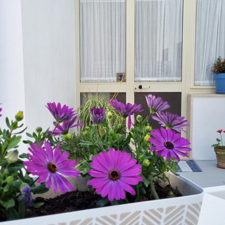 La Casa più Bella - Casa con 2 Camere da Letto - 9
