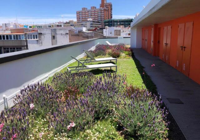 ZEN GARDEN - Apartamento de 1 dormitorio - 23
