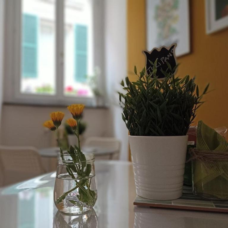 B&B Bel Fiore - Camera Matrimoniale con Bagno Privato - 2