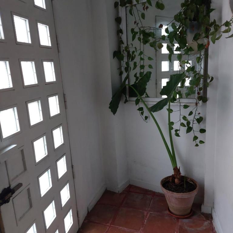 Apartamento tipo loth Alameda - Apartamento de 2 dormitorios - 11