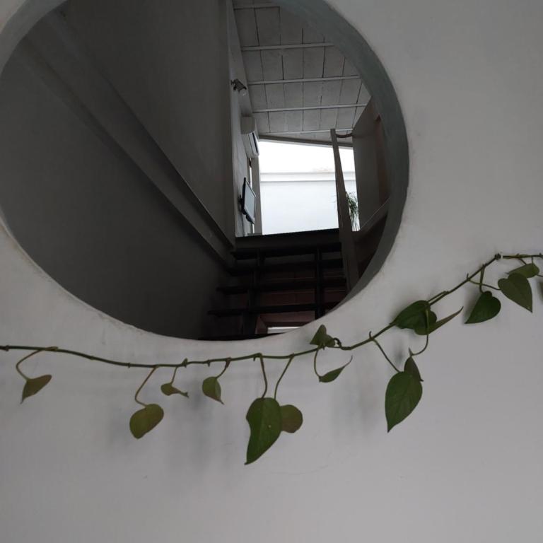 Apartamento tipo loth Alameda - Apartamento de 2 dormitorios - 10