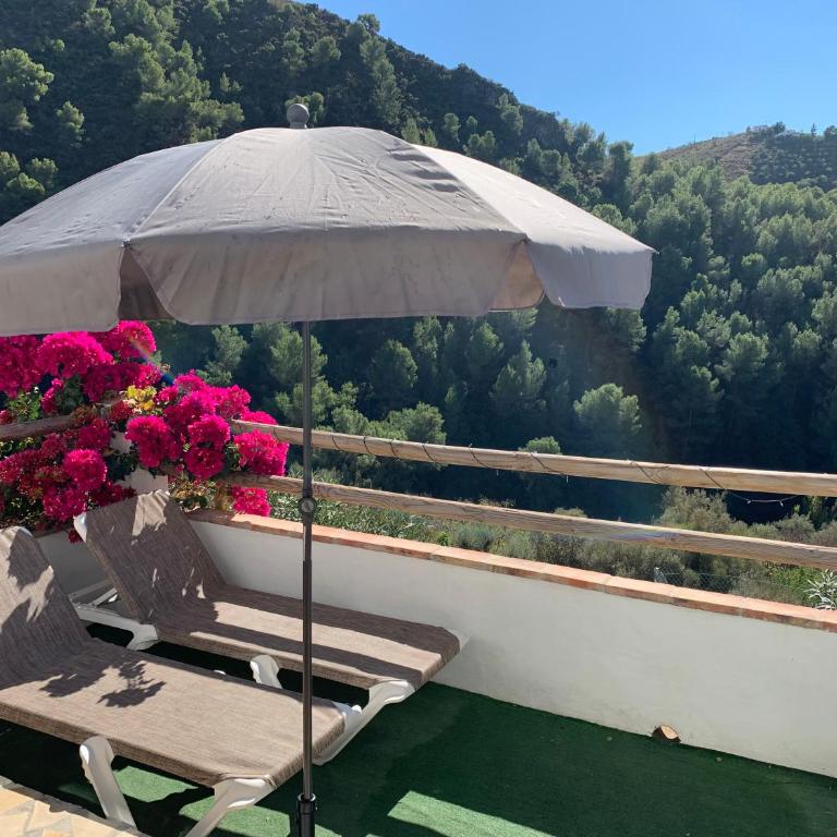 Villa Flower El Acebuchal - Villa mit 2 Schlafzimmern - 20
