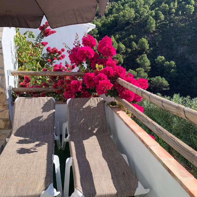 Villa Flower El Acebuchal - Villa mit 2 Schlafzimmern - 21