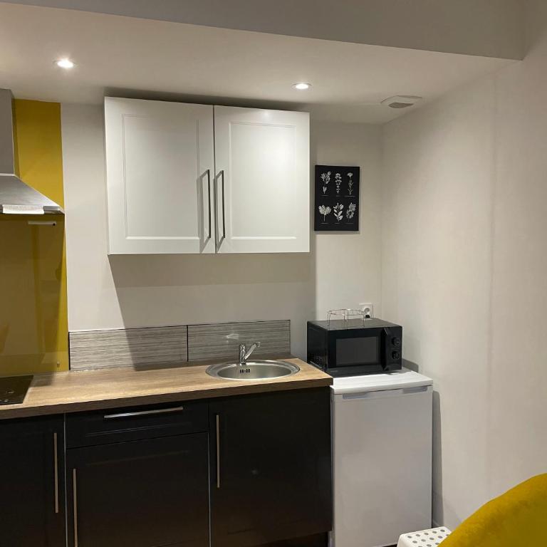 T1 Bis Cosy proche Gare - Apartamento de 1 dormitorio - 25