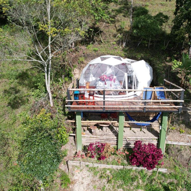 Glamping El Pinar - Habitación Doble con bañera de hidromasaje - 6
