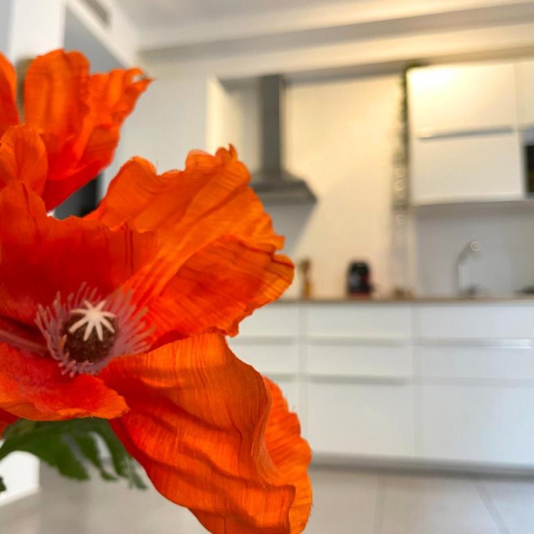 SkySea Holidays CITY CENTER SUITES - Apartamento Deluxe Flamenco - 3